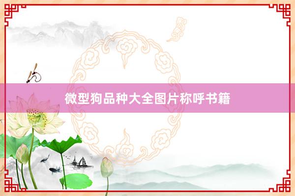 微型狗品种大全图片称呼书籍